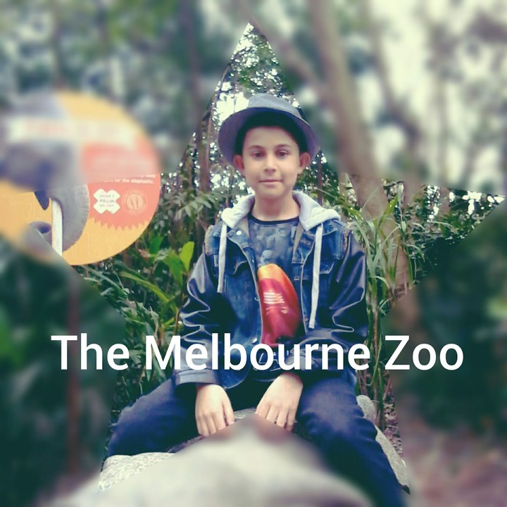 melbourne zoo