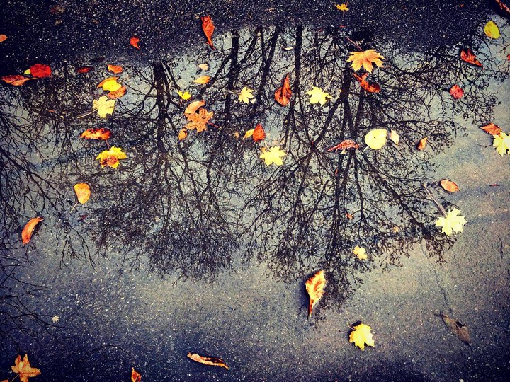 autumn