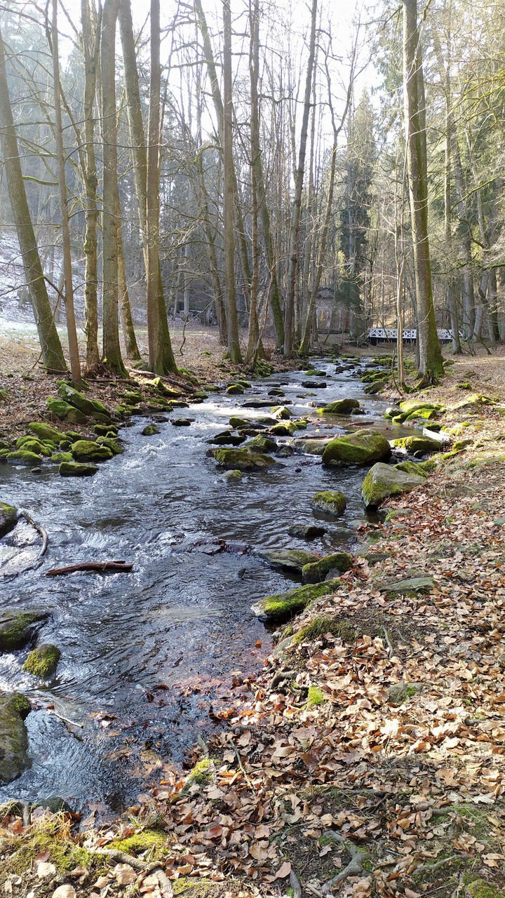 Chech nature