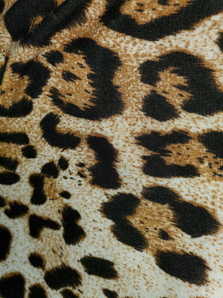wild