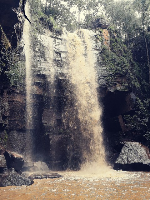 free fall