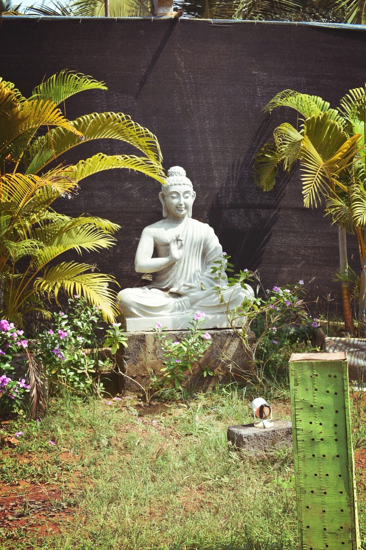 budha