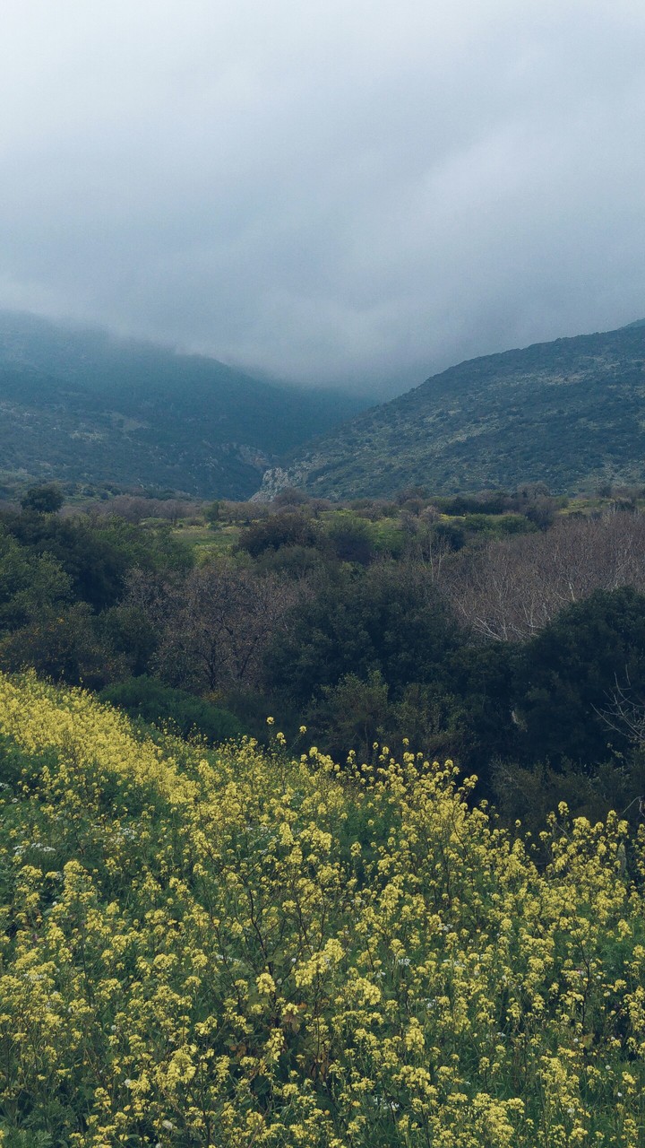 Mountains