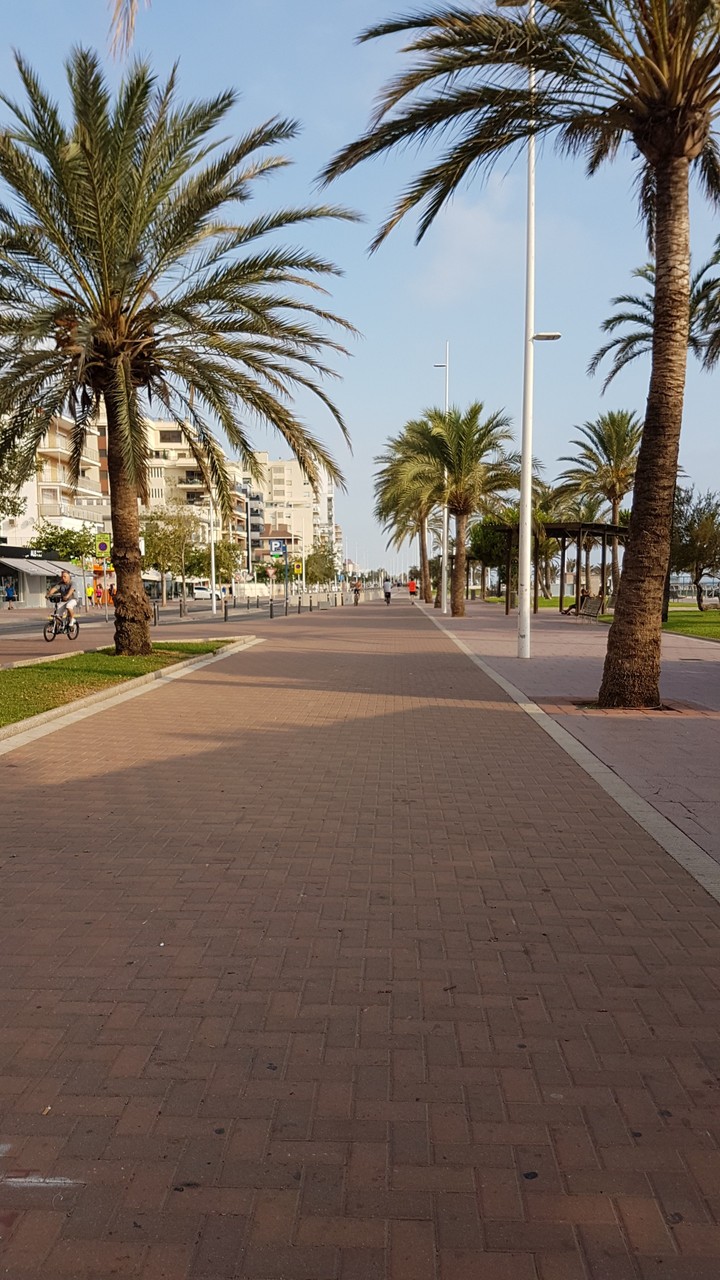 the street
