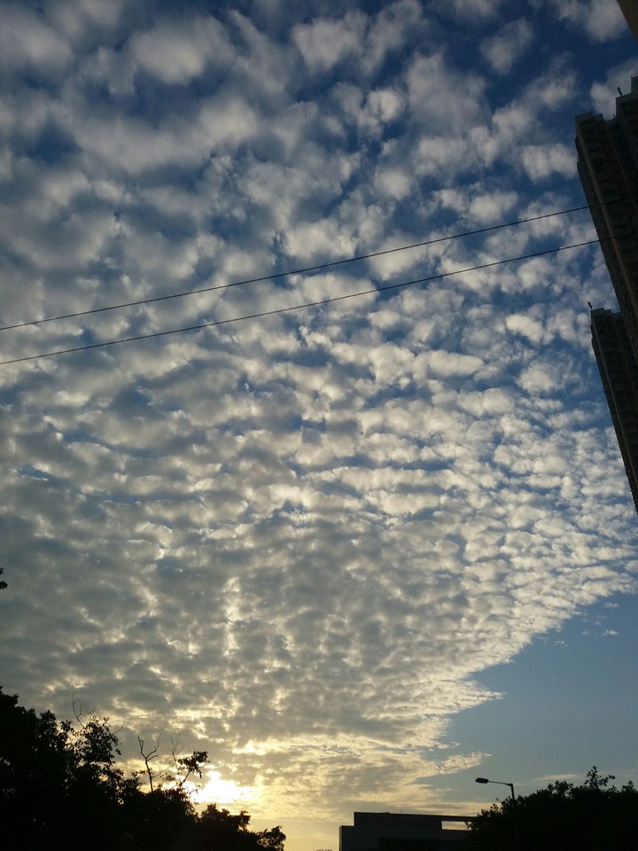 See the sun