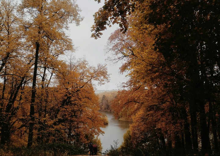 Autumn 