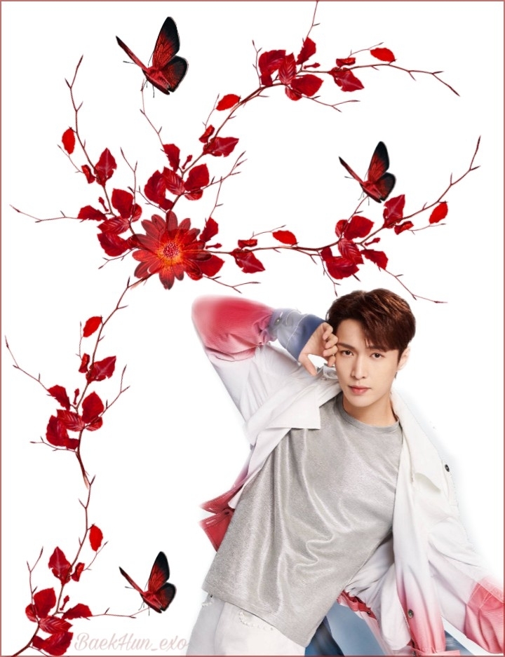 LayEXO