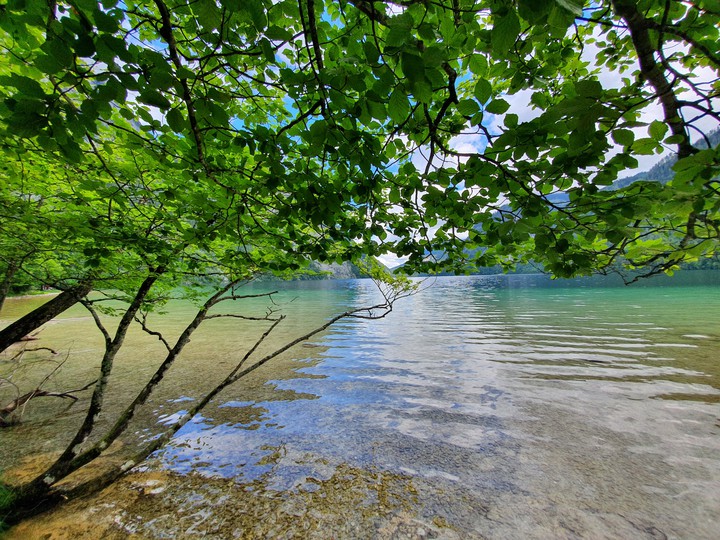 sea