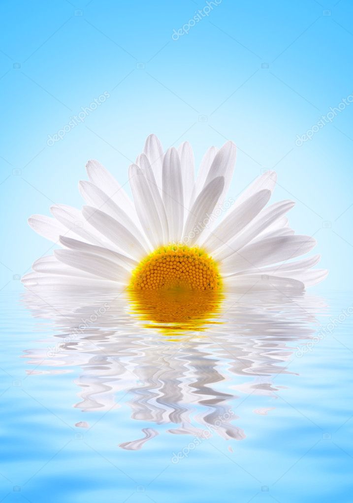любимая