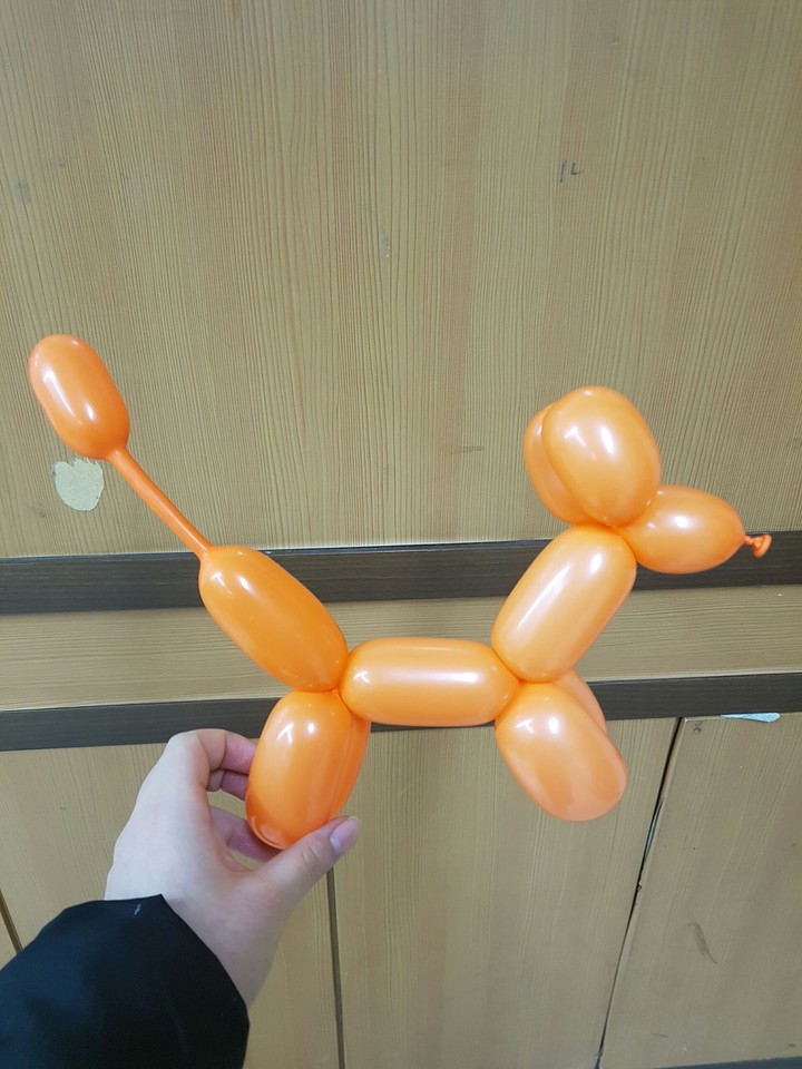 강아지