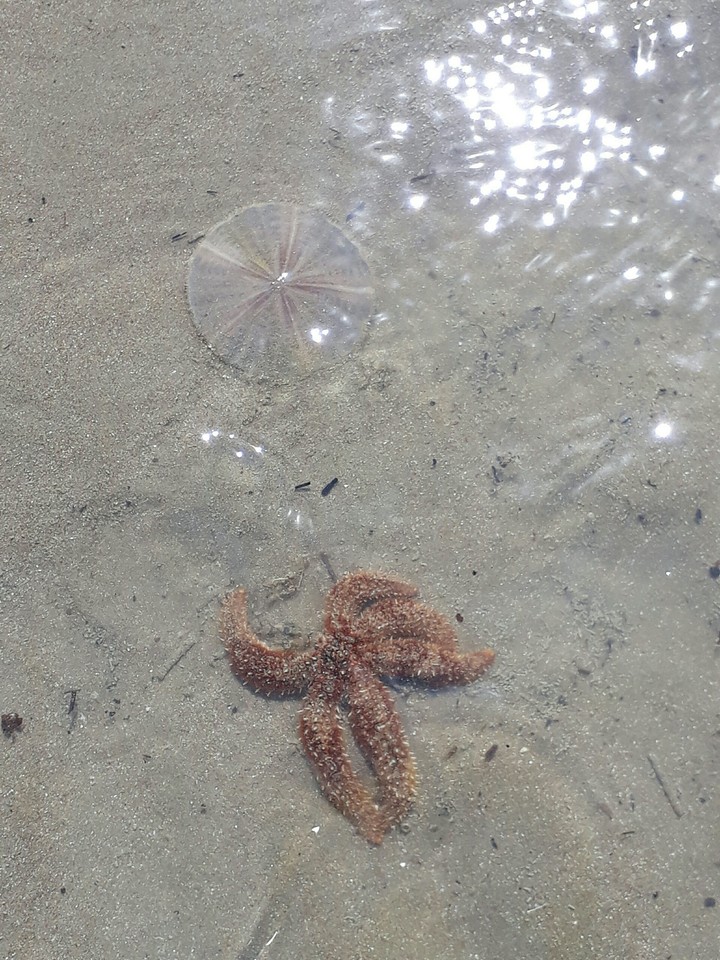 love the sea 3