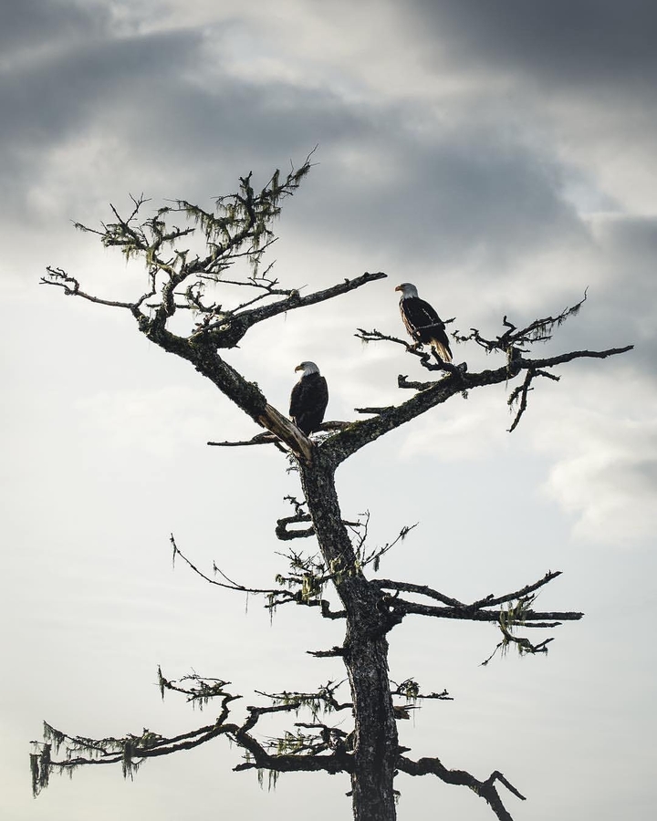 Nature Photography