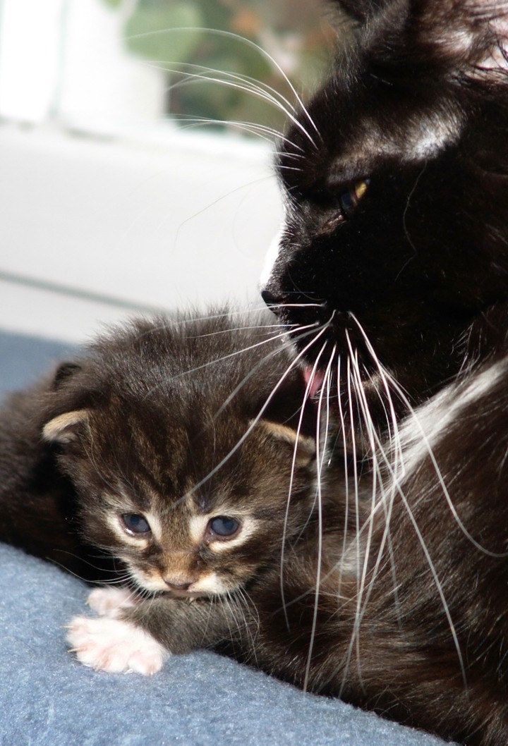 Mom is always taking care of her baby