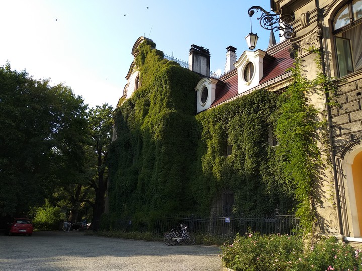 Castle wrapped in ivy