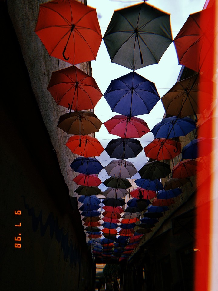 umbrella