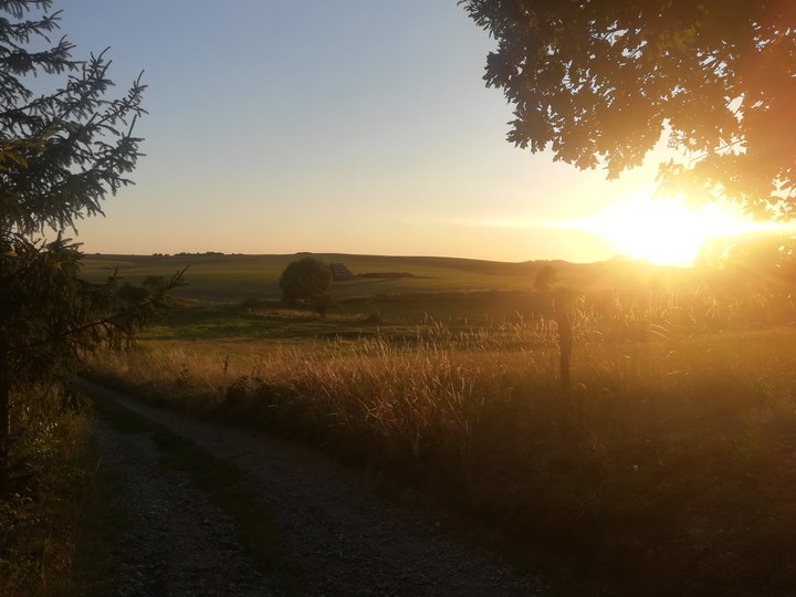 Summer evening