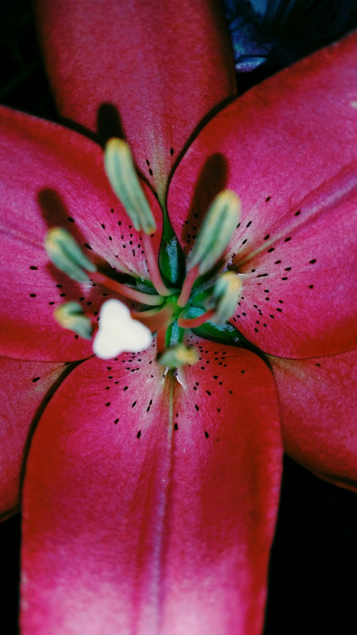 Up close and inside
