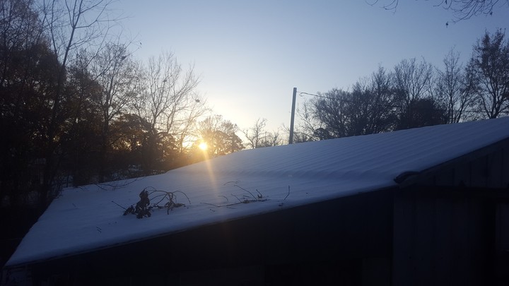 snowy day in Louisiana