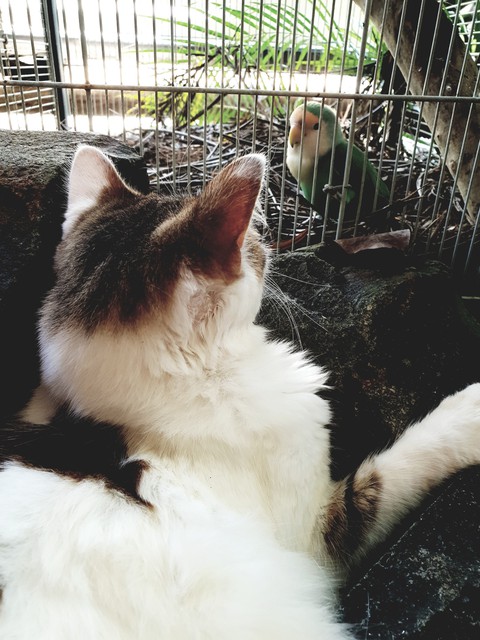 Eye contact