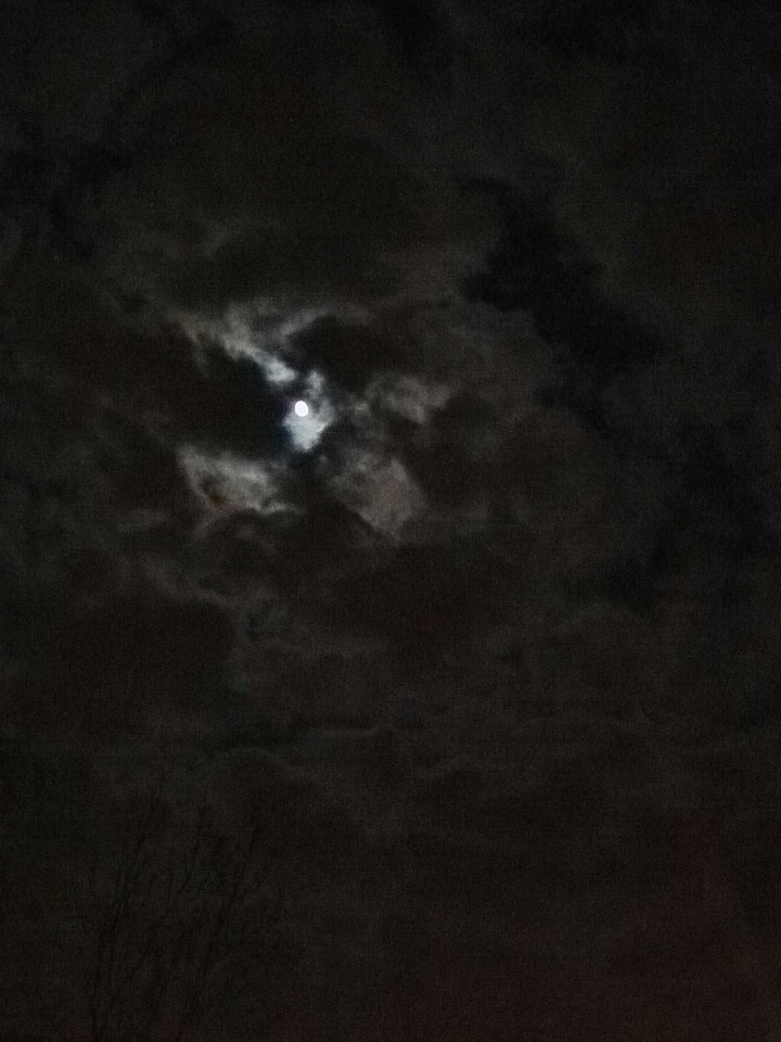 Moon