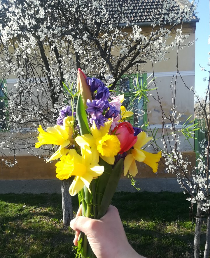 flower.spring
