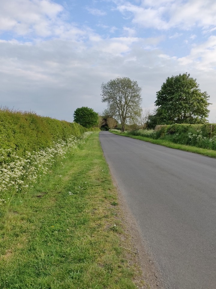 Countryside