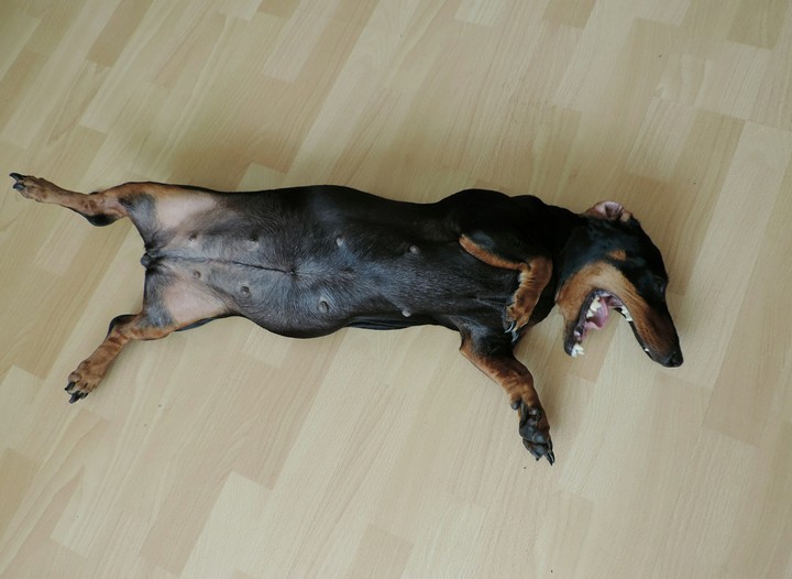 моя