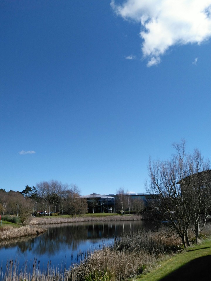 Park Walk & River View