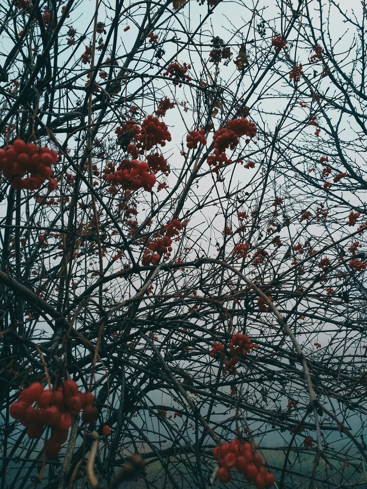 ?