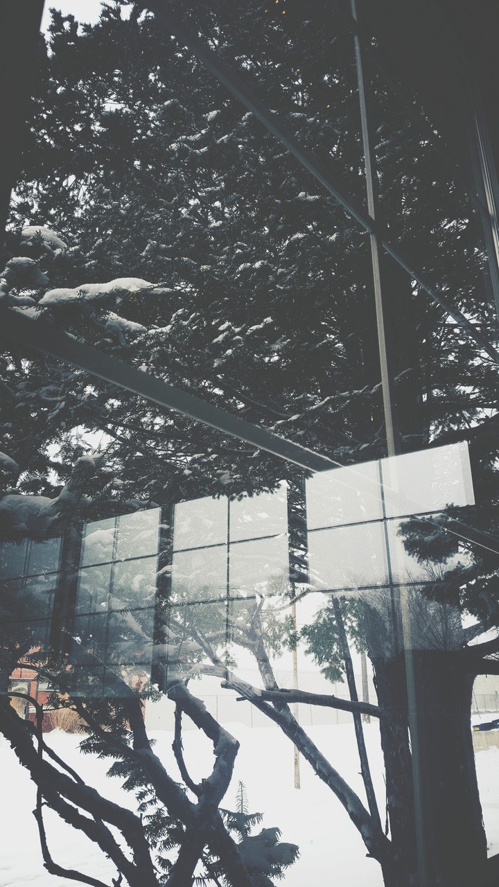 Snow Storm