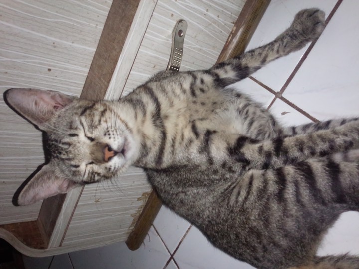 My little friend, Wawan.