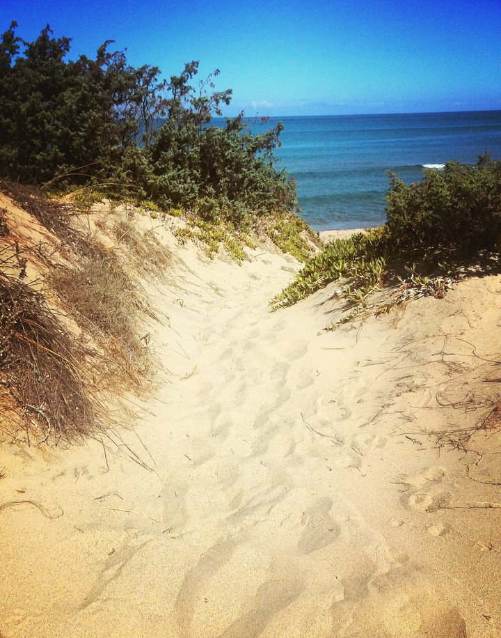 Sardegna