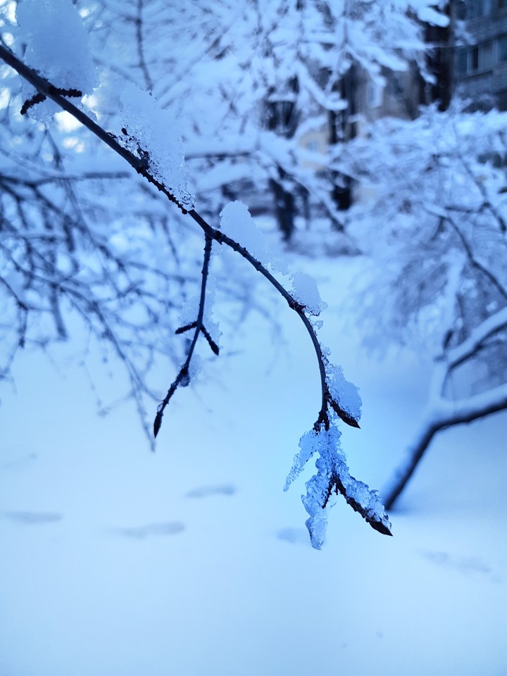 winter