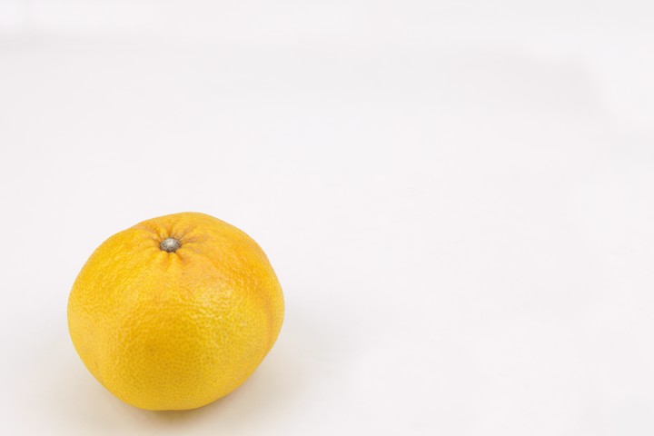 음식이미지