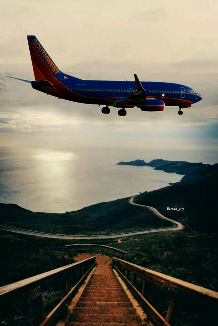 airplane