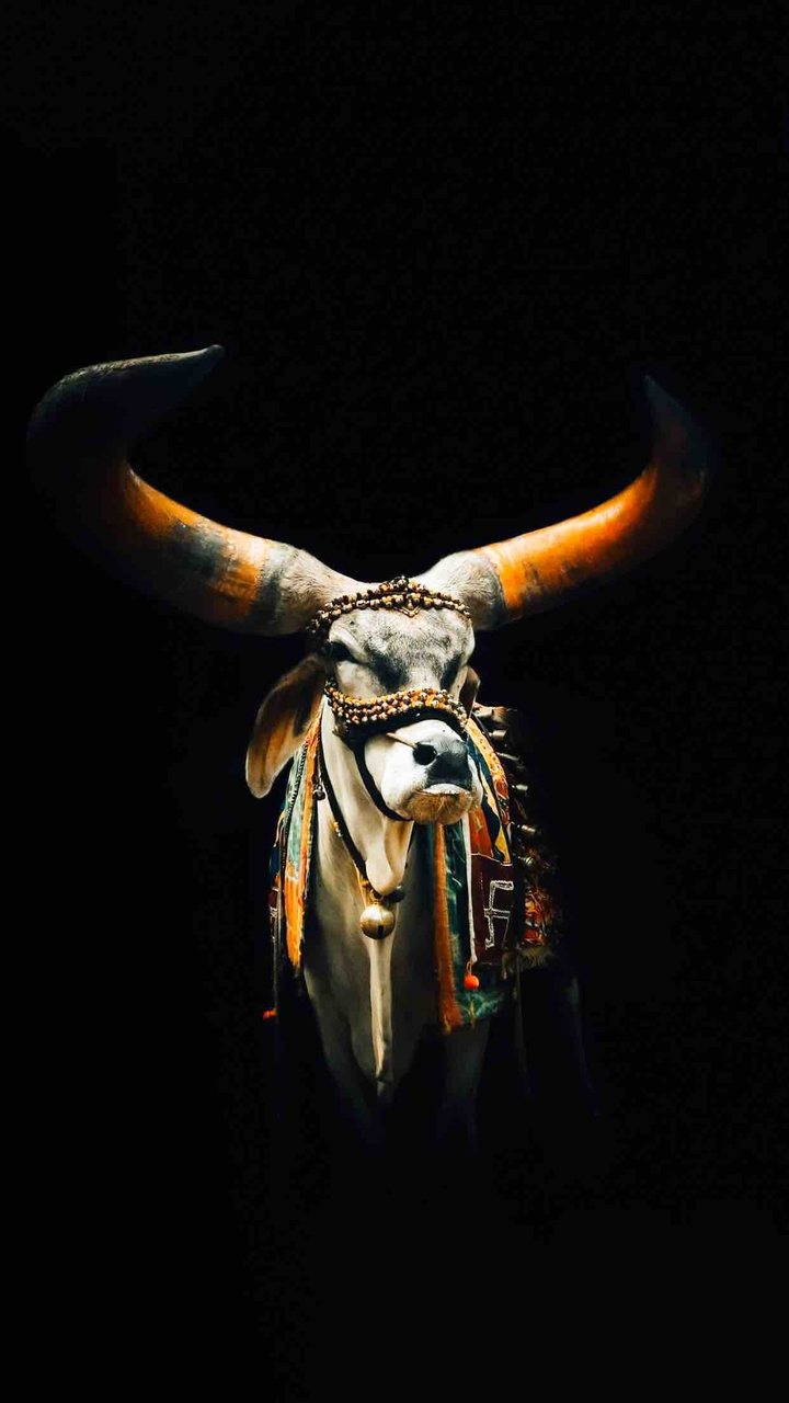 Nandi....