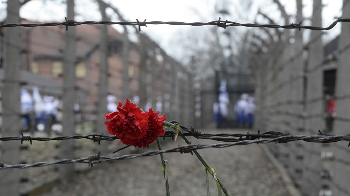 RED CARNATION