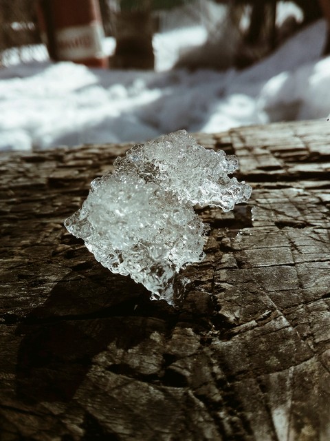 shuga or snow...
