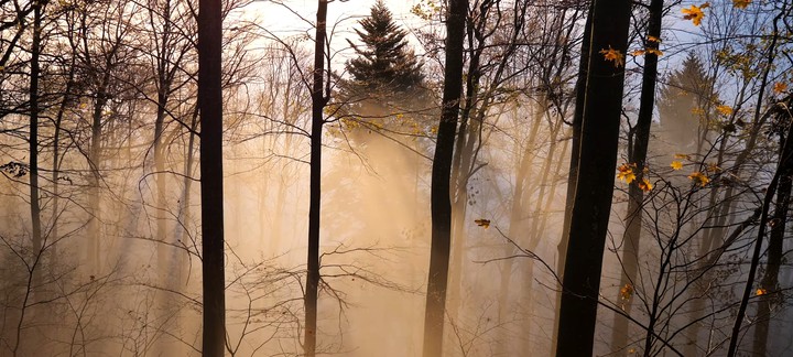 nature