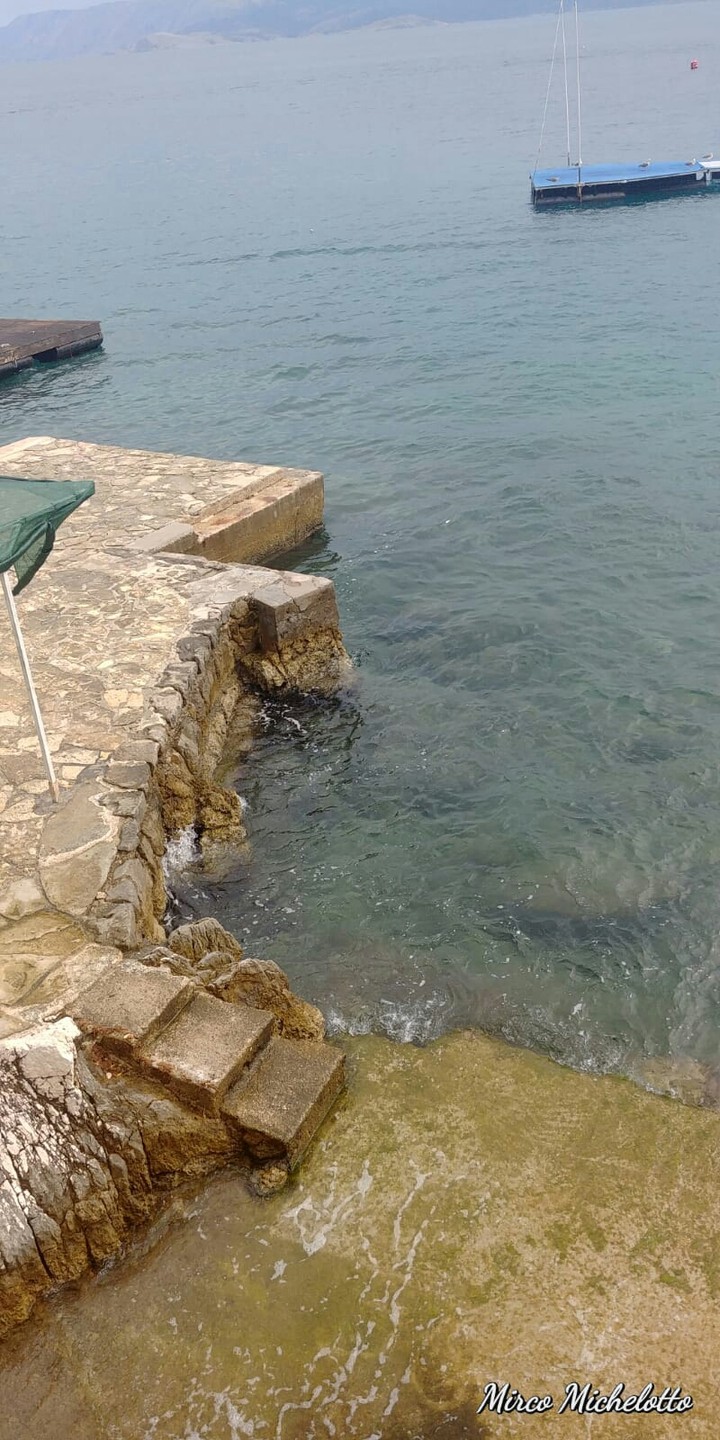 mare