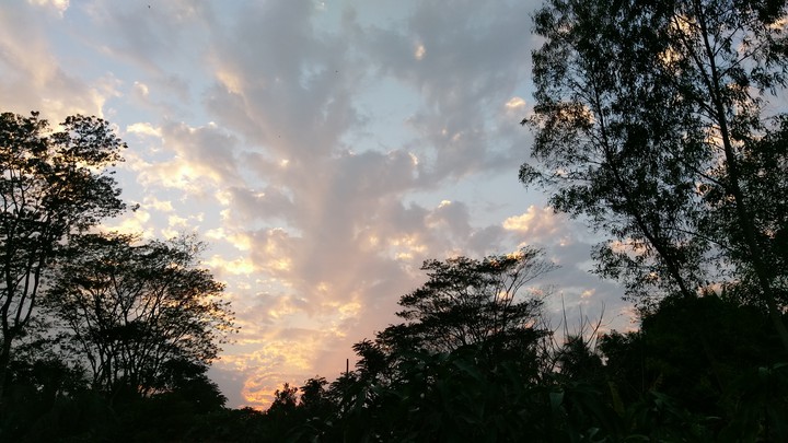 Sky and sunlight...