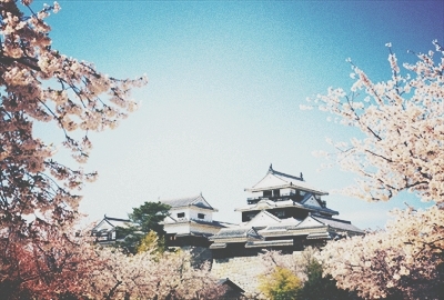 Matsuyama Castle Favorite Castle