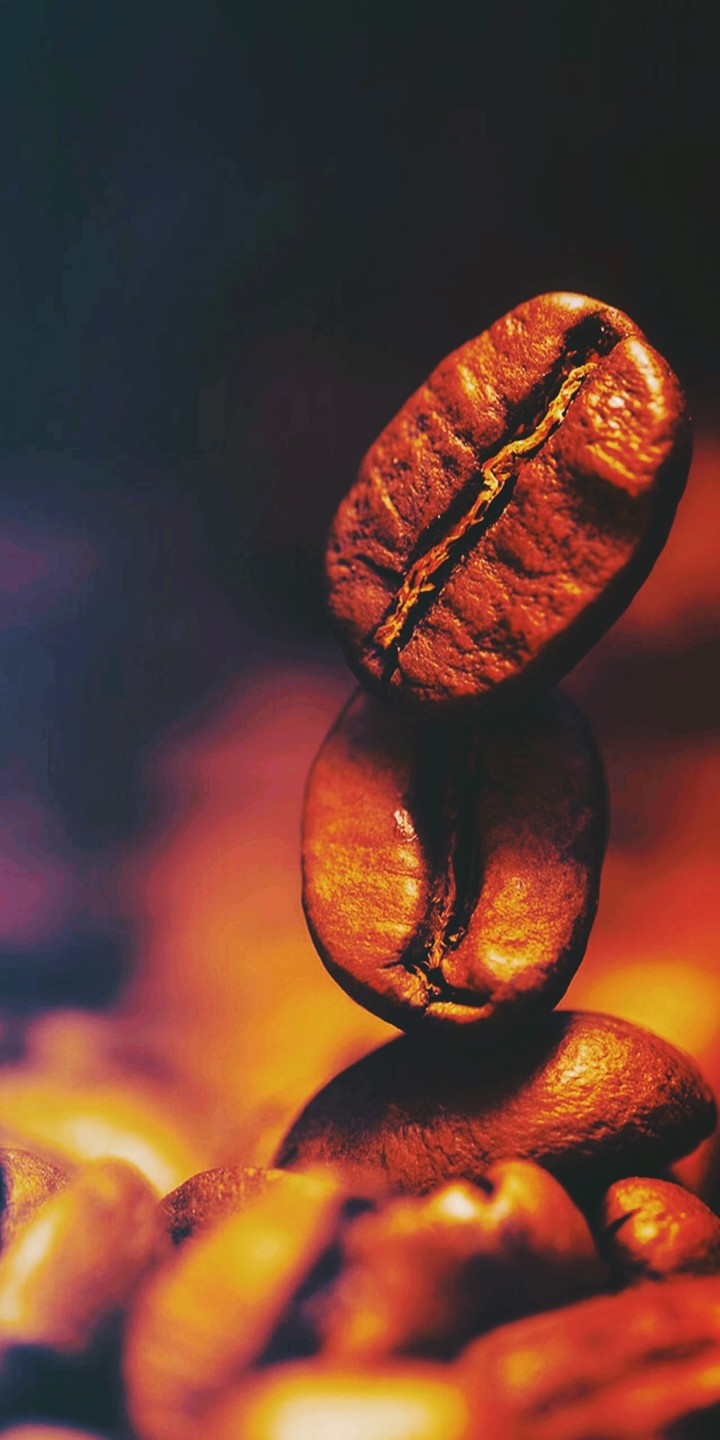 kafe