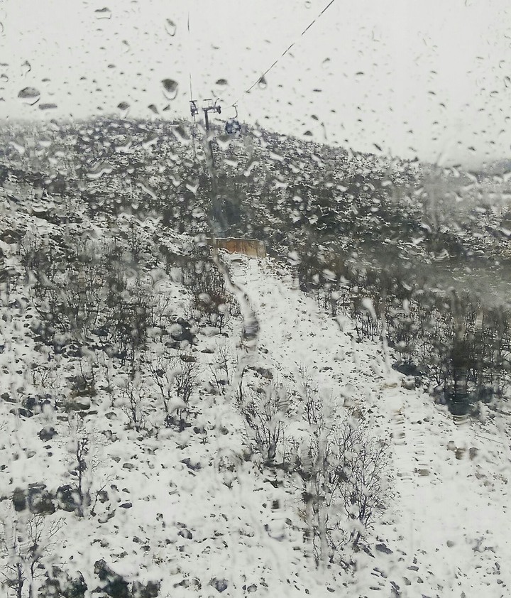 Snow Holiday