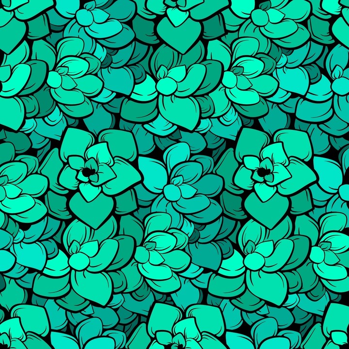 Flores