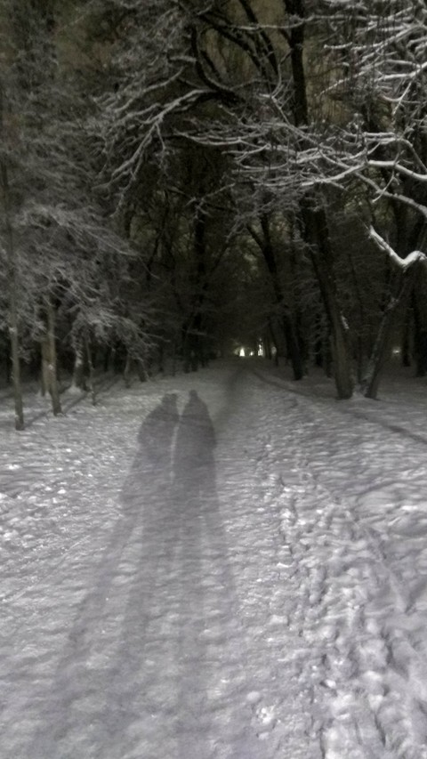 Двое