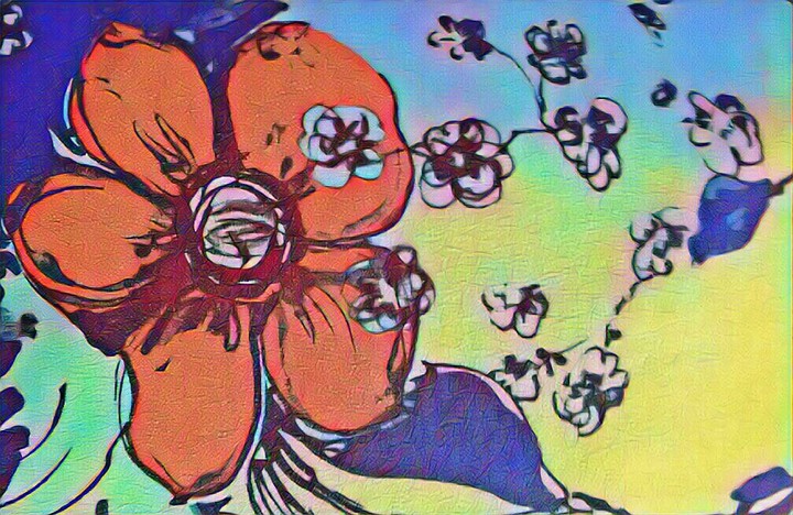 color flower