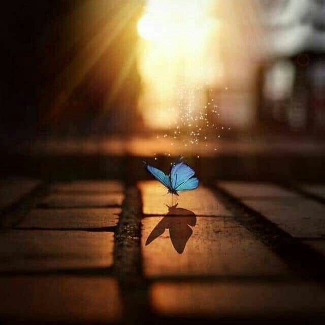 ❤❤