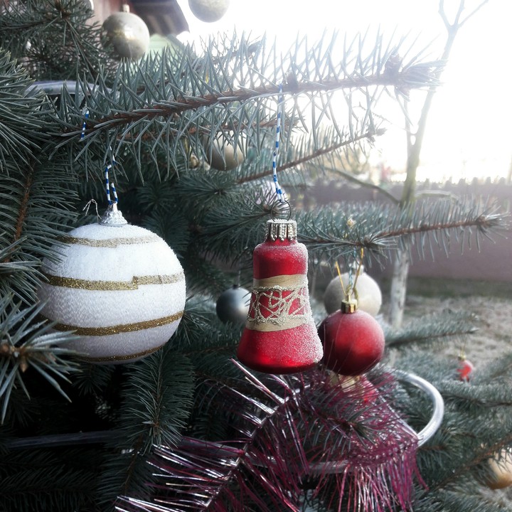Christmastree