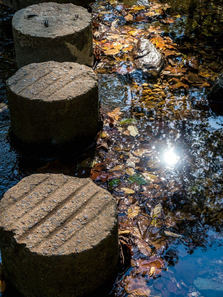 Reflected Sunshine